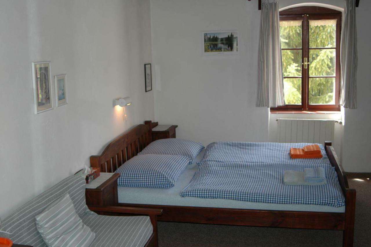Pension Cervena Hotel Kasperske Hory Exterior photo